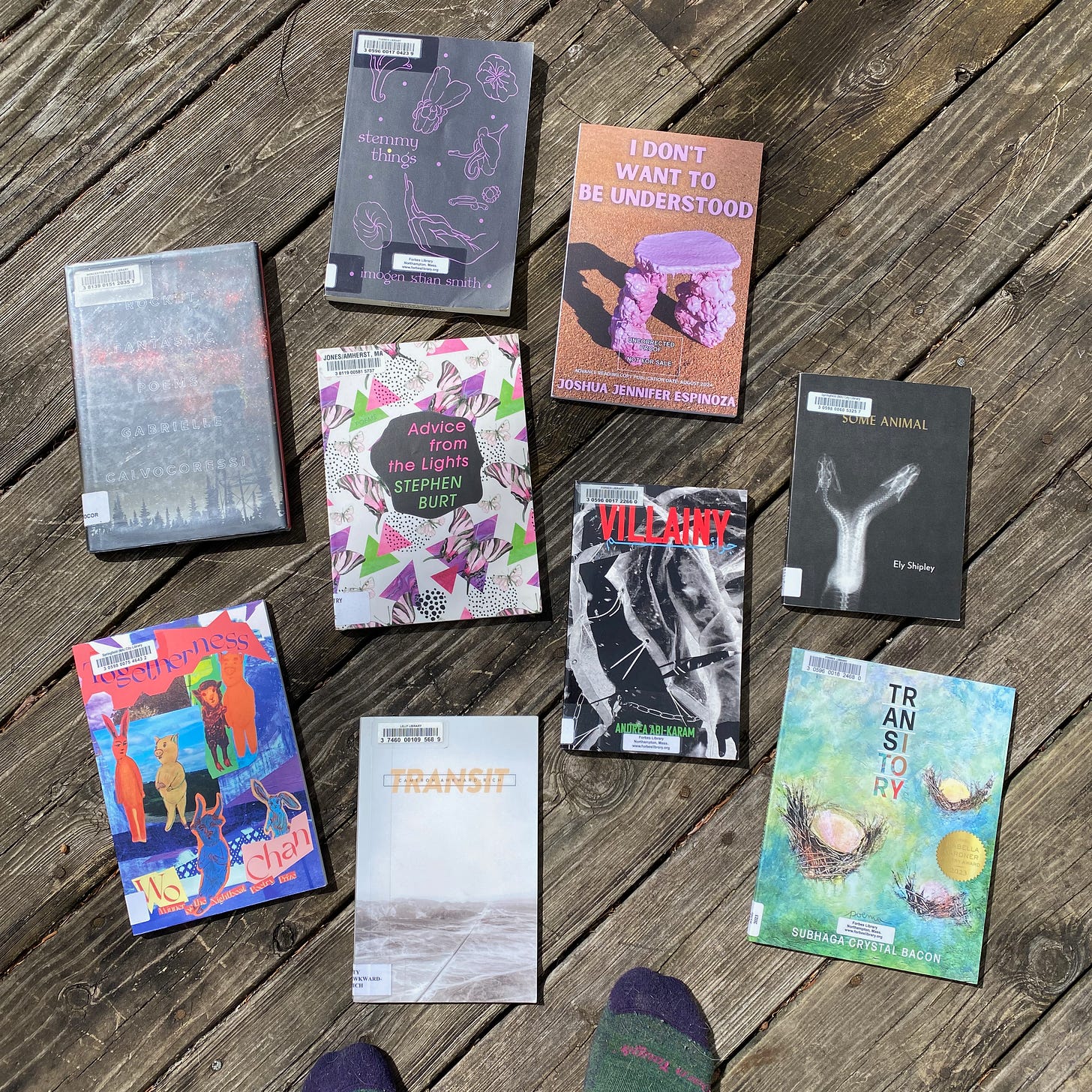 The following books spread out on a porch next to my socked feet: Stemmy Things, I Don’t Want to Be Understood, Transitory, Transit, Rocket Fantastic, Togetherness, Some Animal, Advice from the Light, Villainy.