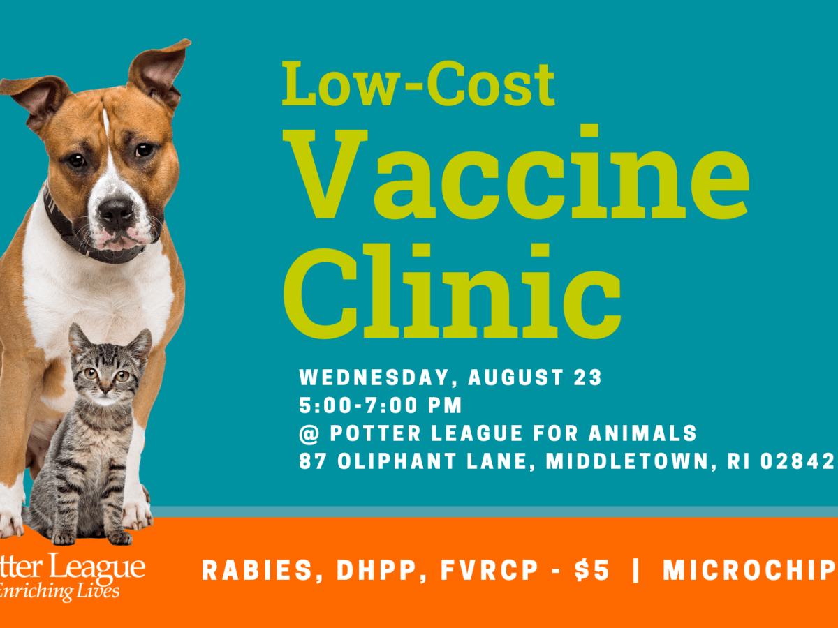 Potter League for Animals to offer Low-Cost Vaccine & Microchip Clinic on August 23