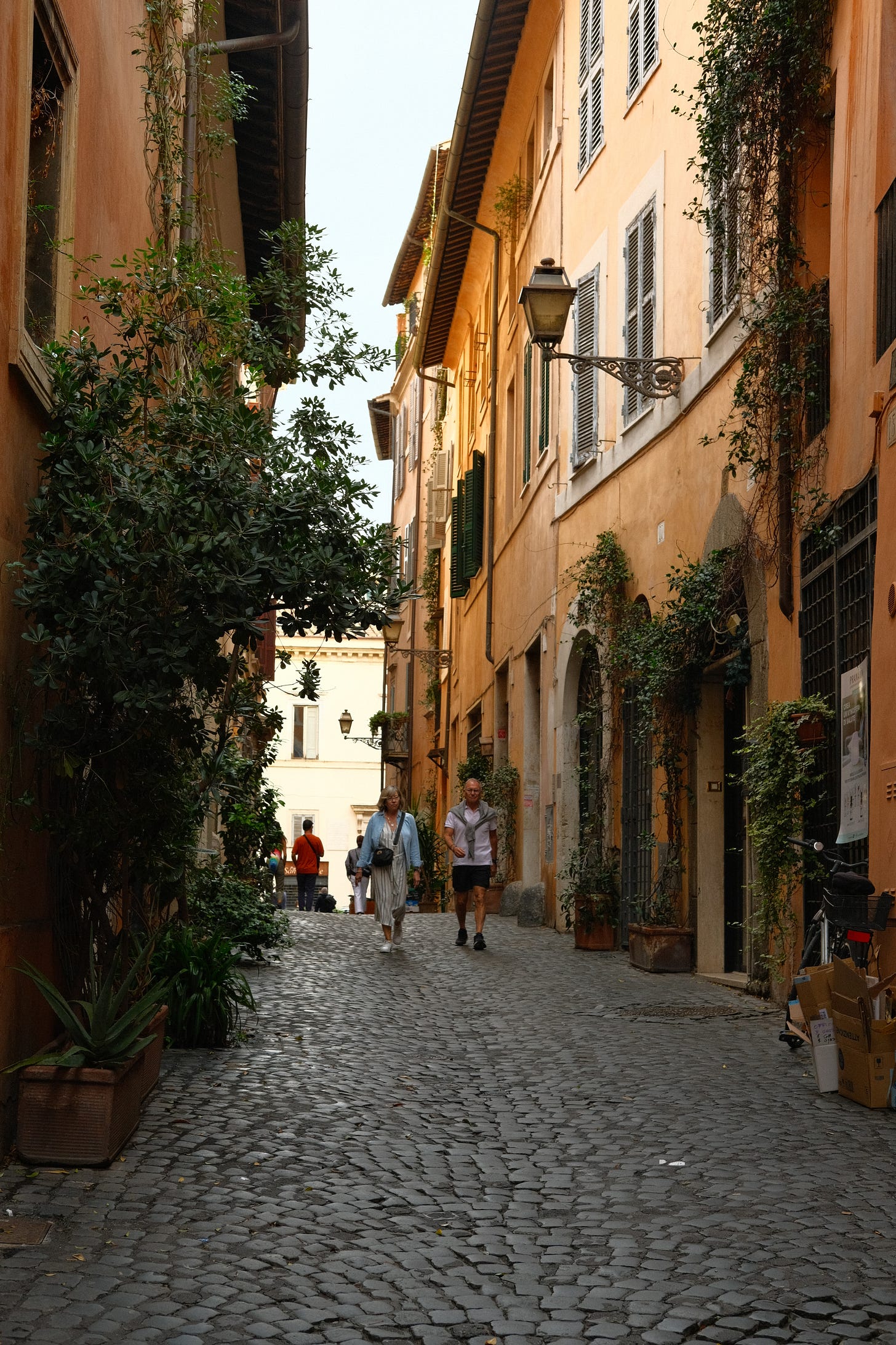 Budget food and travel tips and favorite stories of the year by wirter and photographer Courtney Jill Bishop.