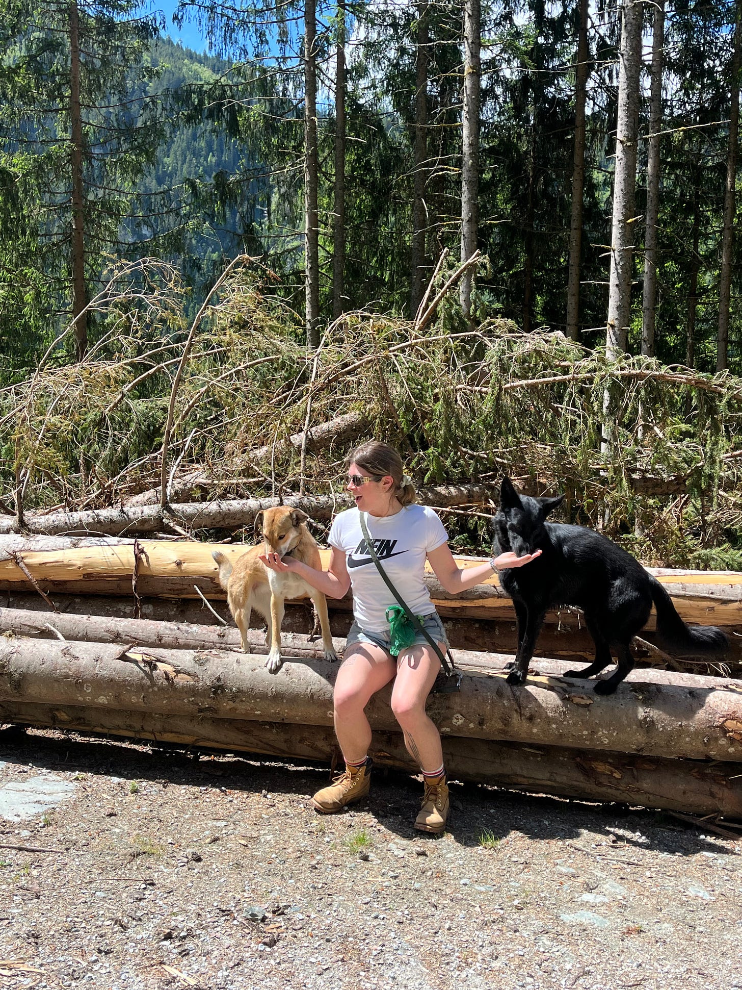 Photo of me sitting on a log holding out a treat in each hand as two different dogs eat the treats. One dog is Hester and the other dog is Frodo. We are in the austrian alps and you can see the mountain and sky behind us.