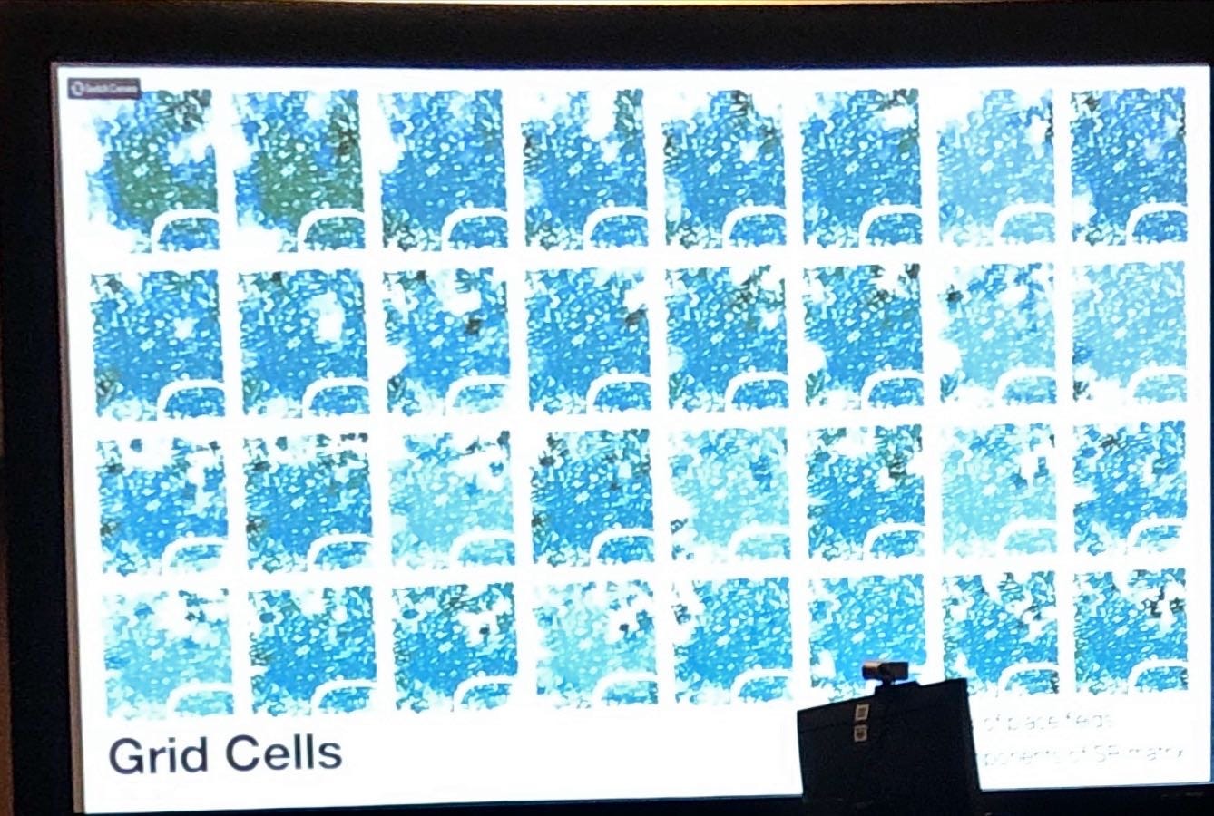 Grid Cells 