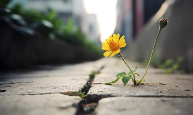 Premium Photo | A flower grows in a crack in a sidewalk.