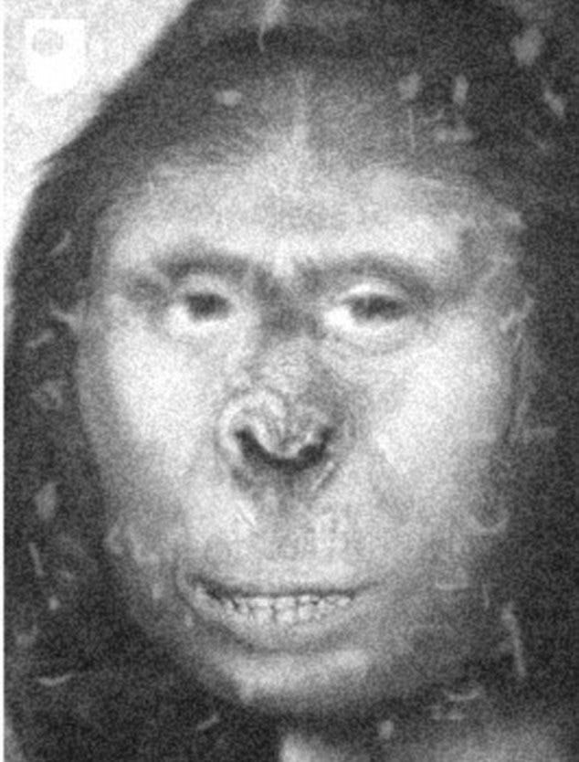 An image of "Zana", black and white and grainy. Obviously not genuine but made to look like an old photograph. It looks sort of like an image of an ape crossed with the mona lisa