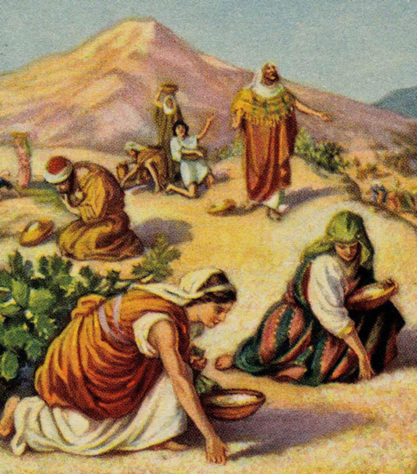 Ruth gleaning in the fields of Boaz