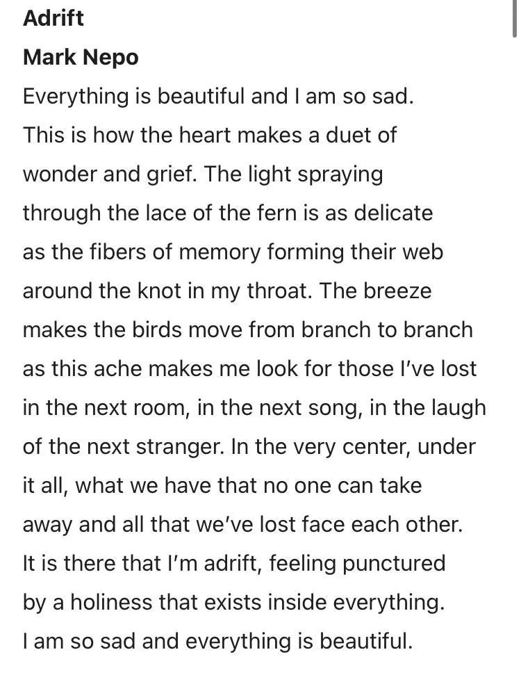 Adrift by Mark Nepo: Everything is beautiful and I am so sad. This is how the heart makes a duet of wonder and grief. The light spraying through the lace of the fern is as delicate as the fibers of memory forming their web around the knot in my throat. The breeze makes the birds move from branch to branch as this ache makes me look for those I’ve lost in the next room, in the next song, in the laugh of the next stranger. In the very center, under it all, what we have that no one can take away and all that we’ve lost face each other. It is there that I’m adrift, feeling punctured by a holiness that exists inside everything. I am so sad and everything is beautiful.