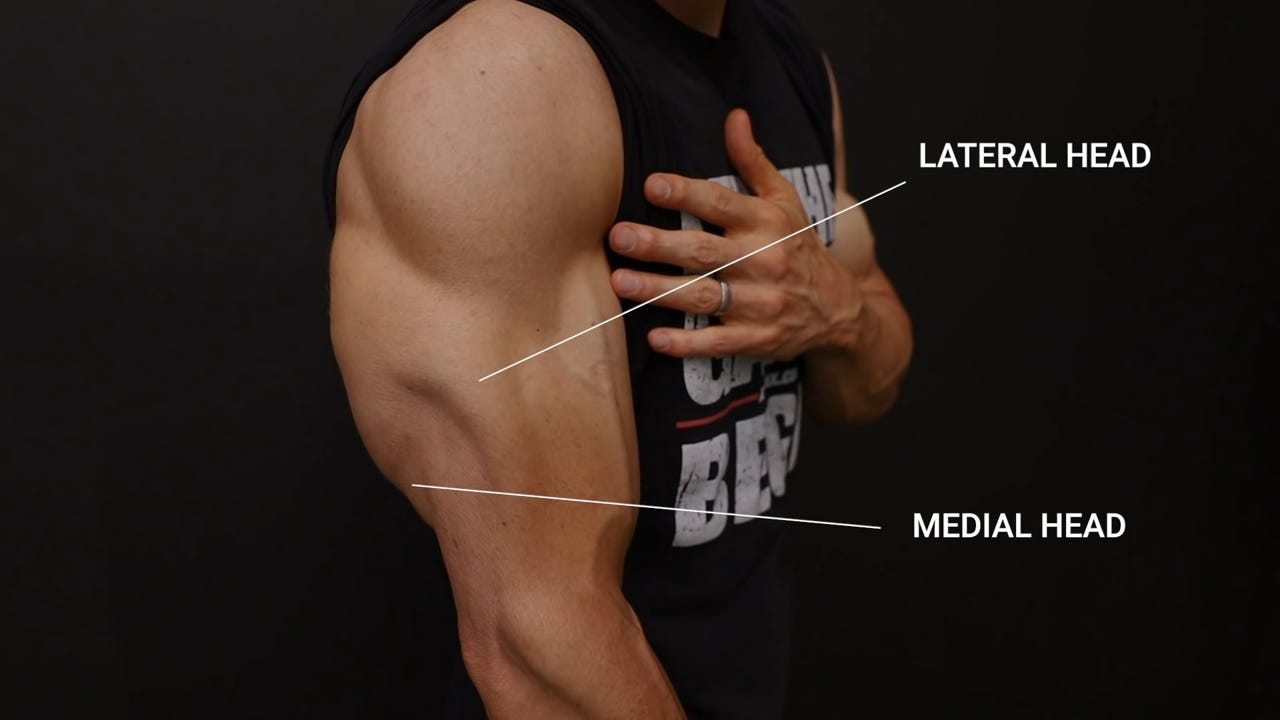 How To Get Big Triceps | ATHLEAN-X
