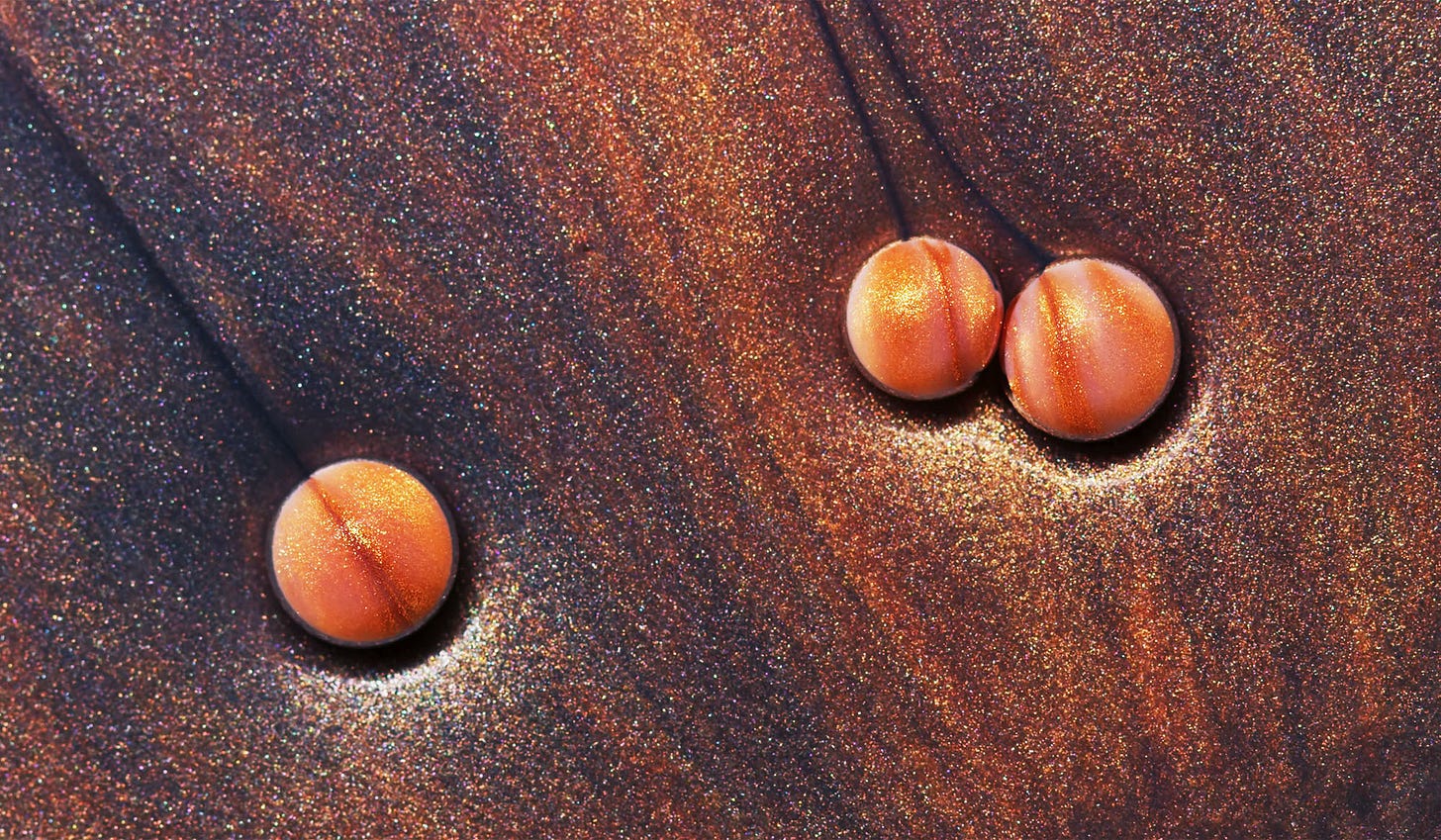 A dreamy tribute to the music of Brian Eno, rendered in paint, soap and water | Aeon Videos