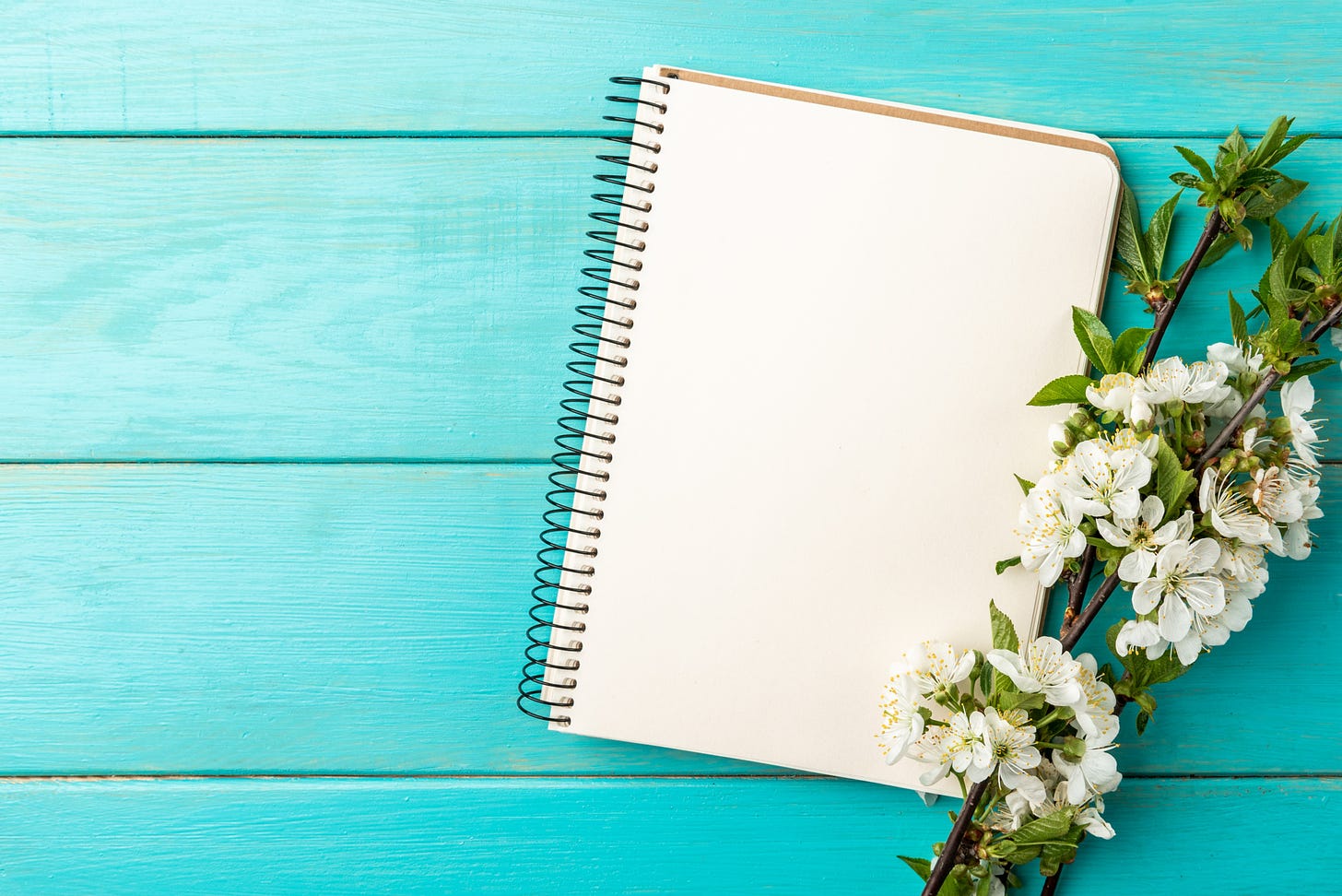 Spring blossom cherry branches and notebook on blue wooden background.