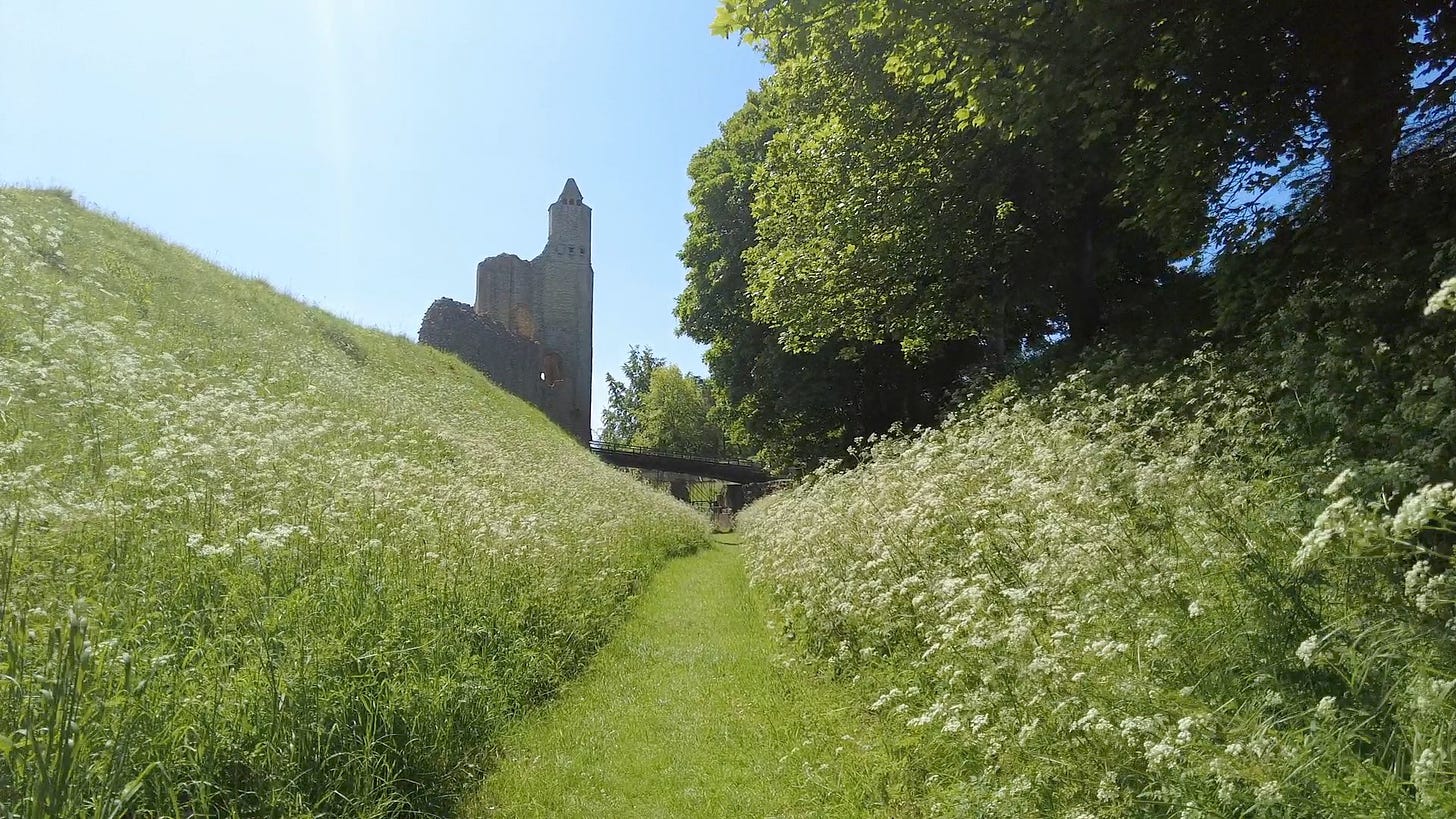 Standing in the moat with a view of the bridge I crossed and Gatehouse in view. There are wildflowers growing either side of the mown path on the banks of the moat.