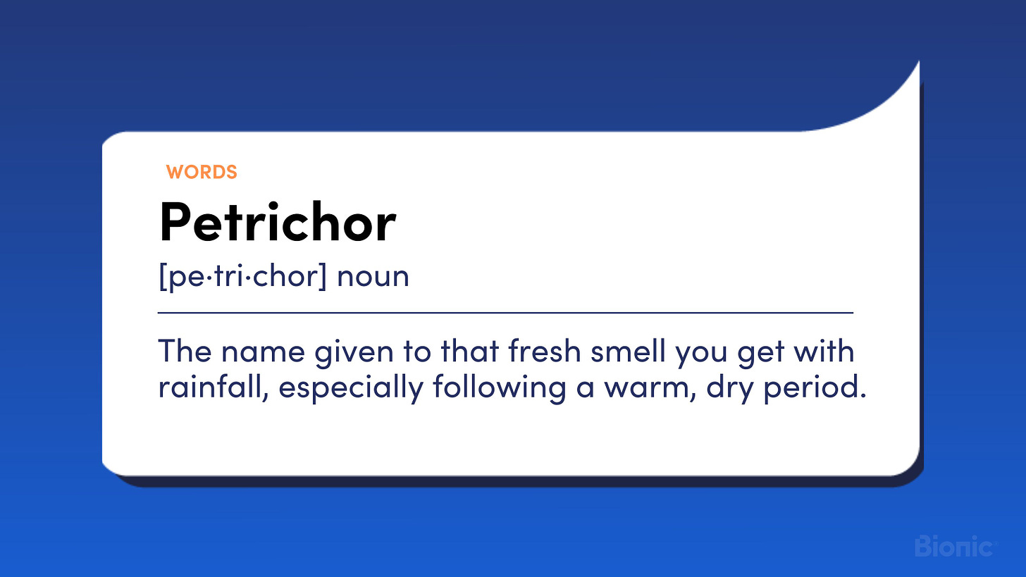 Petrichor (noun) The name given to that fresh smell you get with rainfall, especially following a warm, dry period.