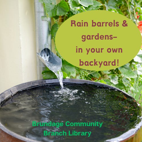 Rain Barrels & Rain Gardens- In Your Own Backyard!