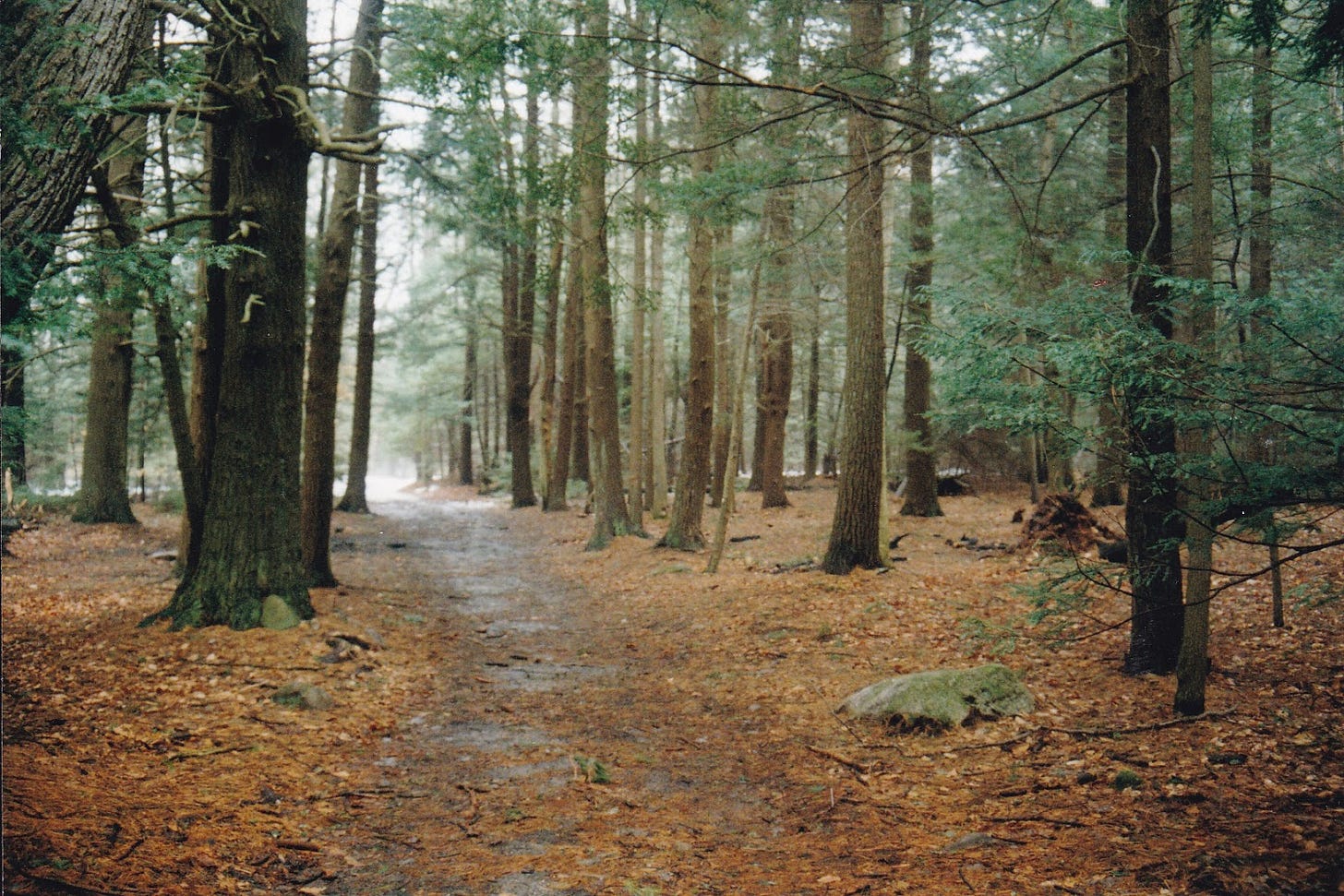 raw-image