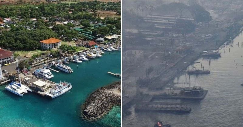 Hawaii Hell: Heartbreaking images show Maui paradise in flames as death  toll rises to 80 | MEAWW