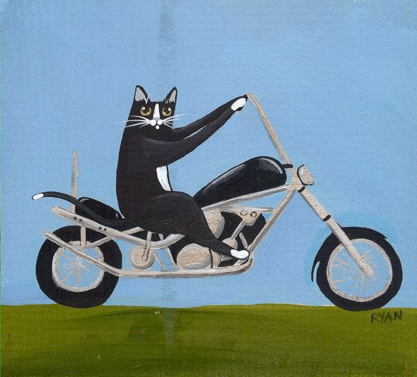 45 Motorcycle Cats ideas | cats, crazy cats, cute cats