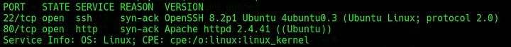 Terminal output of the nmap scans.