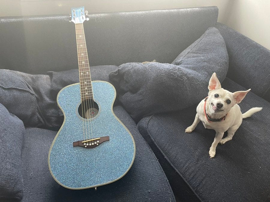 A sparkly blue Daisy Rock acoustic guitar resting on my couch, with a white Chihuahua mix dog to the right looking at the camera with her tongue sticking slightly out