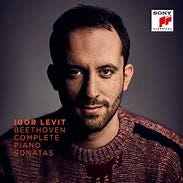 Image result for beethoven sonatas levit