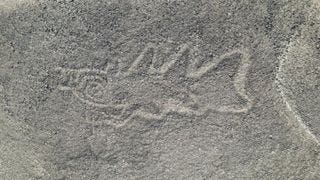 An aerial photo of a strange fish-like creature drawn in lines in the ground