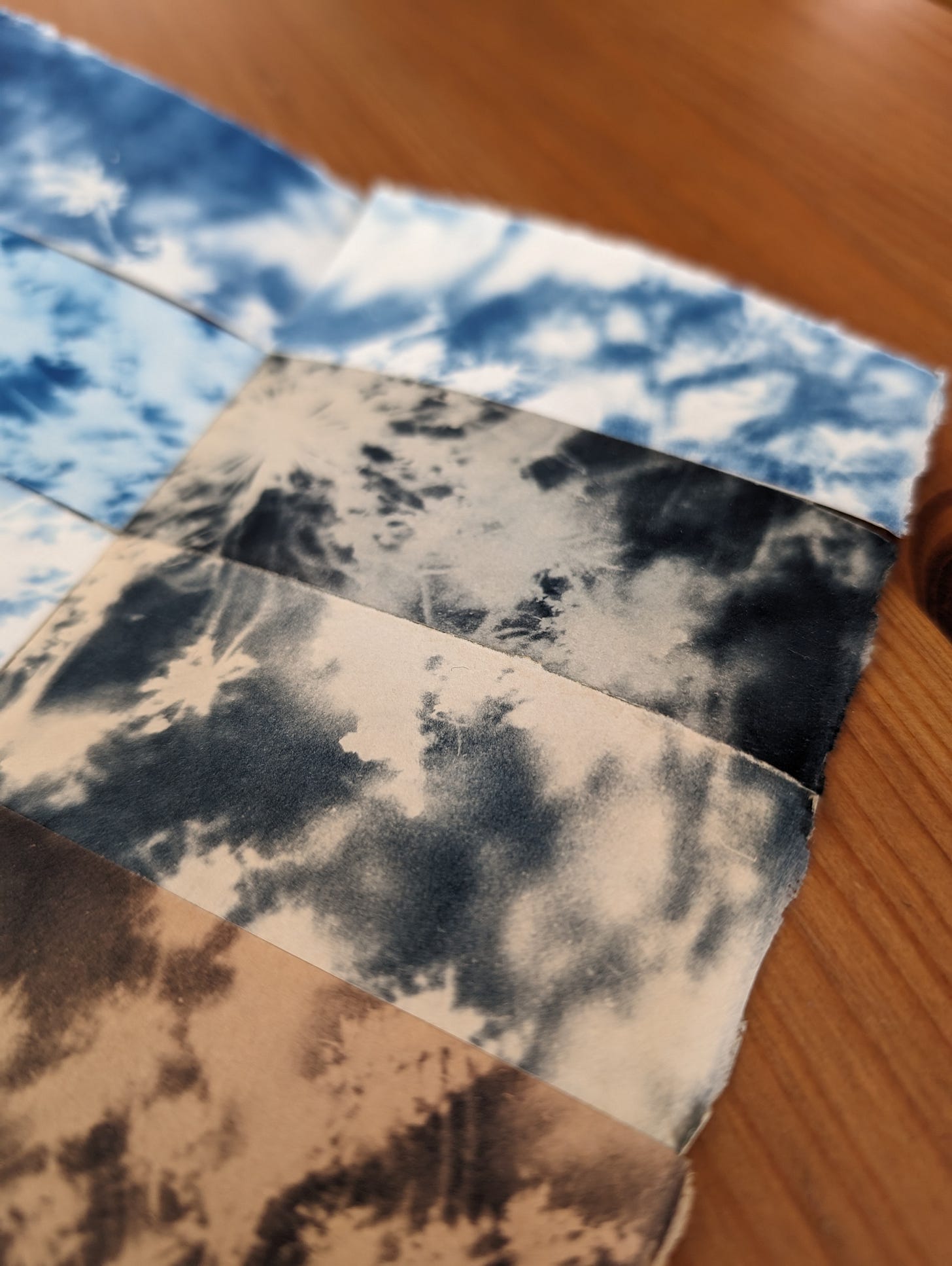 Coffee toned cyanotype print