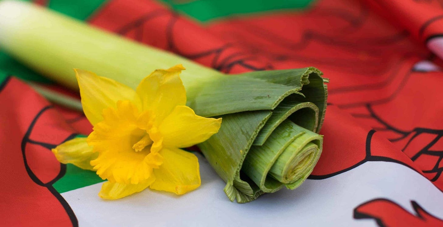 Welsh Leek and a Daffodil, national symbols of Wales