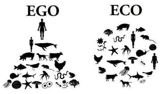ego-v-eco.jpg