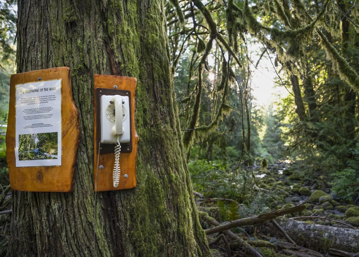 Wind Phone On Vancouver Island - A Way To Say Goodbye