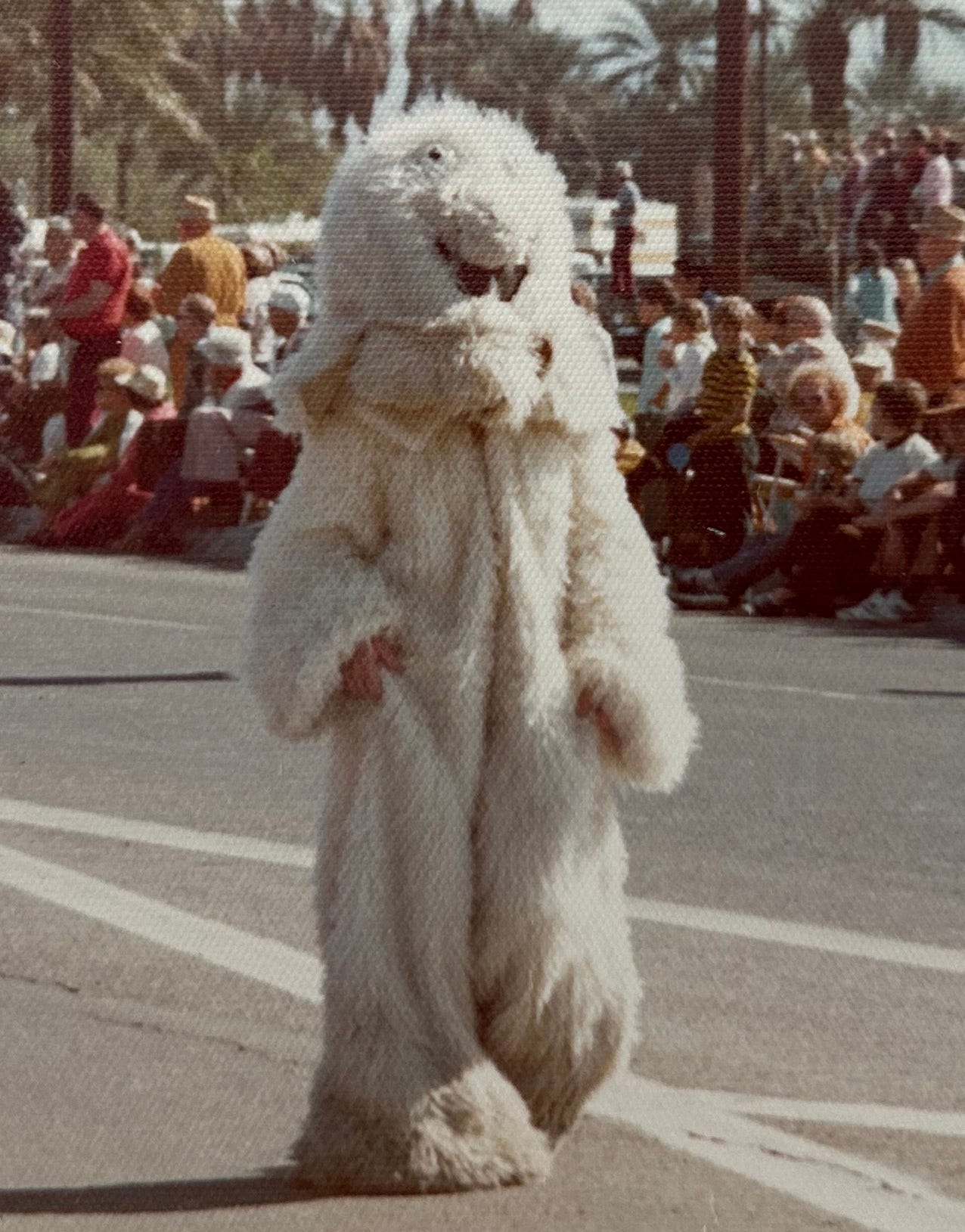 A person in a white furry suit fully covering their face and head walks down a street lined with spectators in a parade in the 1970s