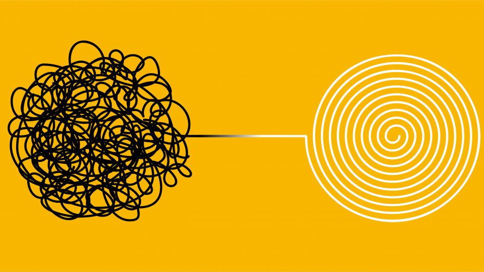 Insights from Complexity Science: More Trust in Self-Organization Needed |  Research Institute for Sustainability
