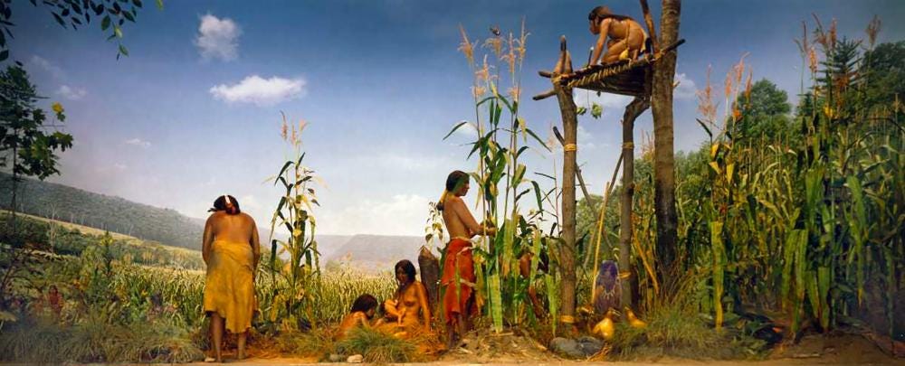 Das Bild zeigt das Diorama „The Three Sisters“, das eine Szene des traditionellen Ackerbaus indigener Völker Nordamerikas darstellt. Mehrere indigene Menschen befinden sich in einem Mais-, Bohnen- und Kürbisfeld, einer Anbaumethode, die als „Die drei Schwestern“ bekannt ist. Eine junge Frau sitzt auf einer erhöhten Plattform, um die Vögel zu verscheuchen, während andere Menschen den Pflanzen Pflege zukommen lassen oder am Boden arbeiten. Der Hintergrund zeigt eine hügelige Landschaft mit blauem Himmel und einzelnen Wolken. Die Szene spielt Ende August, wenn der Mais beginnt zu reifen. Das Bild zeigt das Diorama „The Three Sisters“, das eine Szene des traditionellen Ackerbaus indigener Völker Nordamerikas darstellt. Mehrere indigene Menschen befinden sich in einem Mais-, Bohnen- und Kürbisfeld, einer Anbaumethode, die als „Die drei Schwestern“ bekannt ist. Eine junge Frau sitzt auf einer erhöhten Plattform, um die Vögel zu verscheuchen, während andere Menschen den Pflanzen Pflege zukommen lassen oder am Boden arbeiten. Der Hintergrund zeigt eine hügelige Landschaft mit blauem Himmel und einzelnen Wolken. Die Szene spielt Ende August, wenn der Mais beginnt zu reifen.