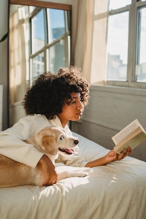 Free Side view of calm young African American lady embracing funny curious dog while lying together on bed and reading interesting novel Stock Photo