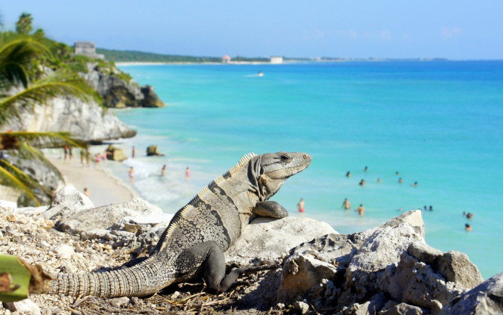 Exploring the ruins in Tulum at the beach...