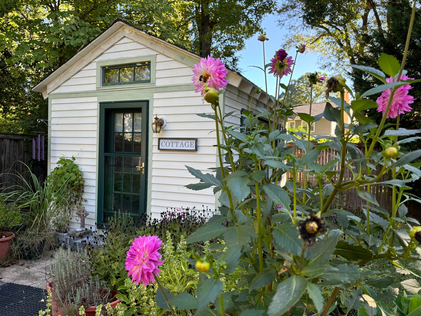 Links for True Believer by Diana Butler Bass