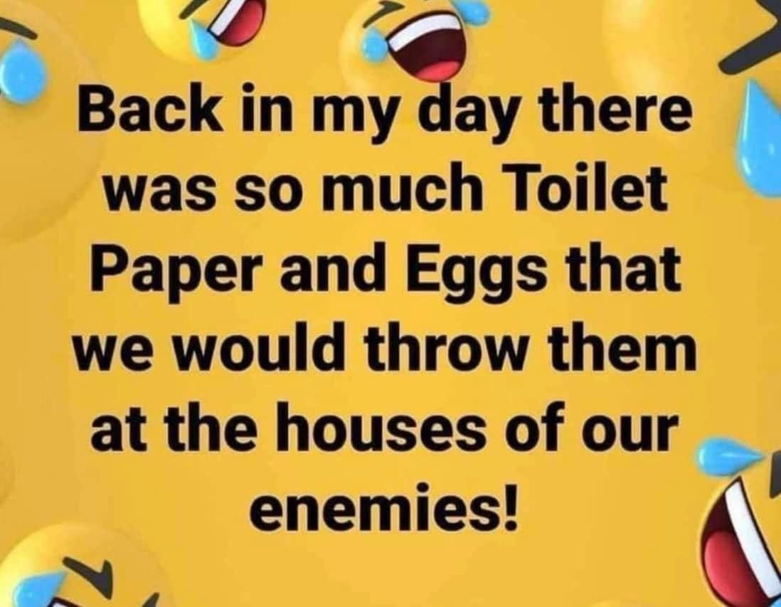 May be a meme of text that says 'Back in my day there was so much Toilet Paper and Eggs that we would throw them at the houses of our enemies!'