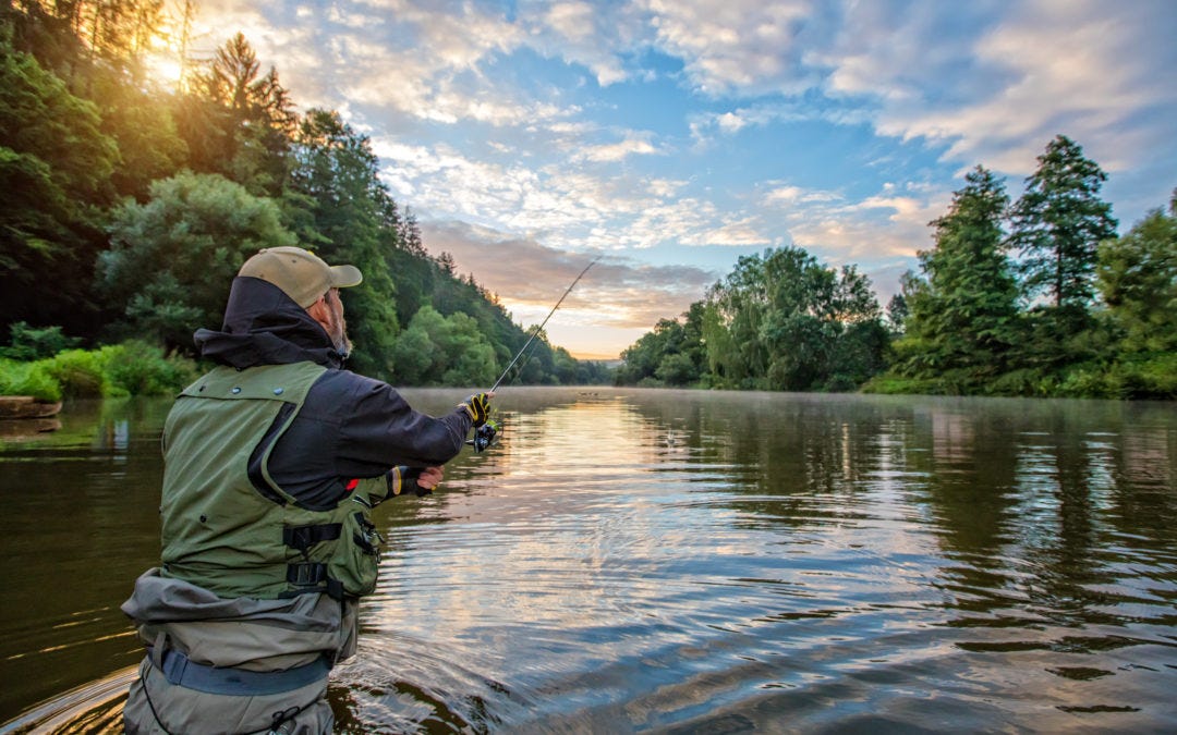 LOOKOUT MOUNTAIN RETREAT DORRIGO FISHING