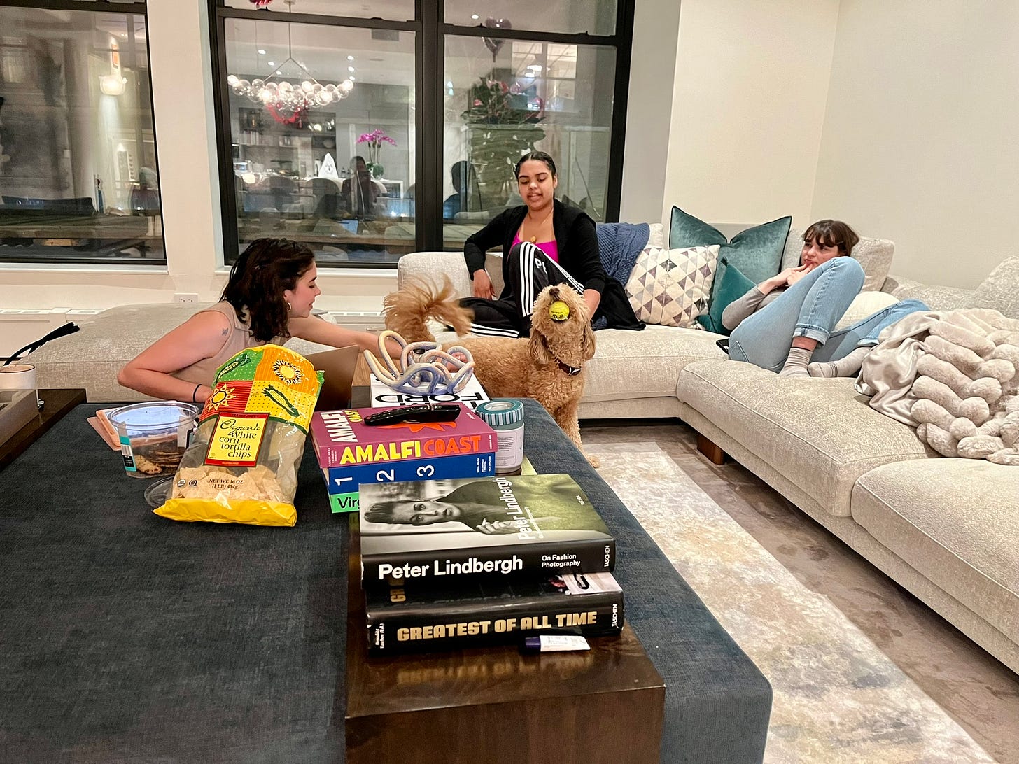 Three people sitting around a coffee table covered in books and snacks. Centered in the photograph is a small, light brown, curly-furred dog with a tennis ball in his mouth. Three people sitting around a coffee table covered in books and snacks. Centered in the photograph is a small, light brown, curly-furred dog with a tennis ball in his mouth.
