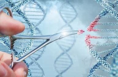 Image result for NEW GENOMIC TECHNIQUES image