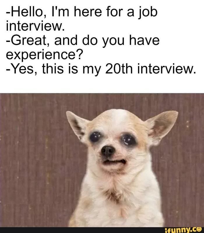 This may contain: a small dog sitting in front of a wooden wall with the caption hello i'm here for a job interview great and do you have experience? yes, this is my 20th interview