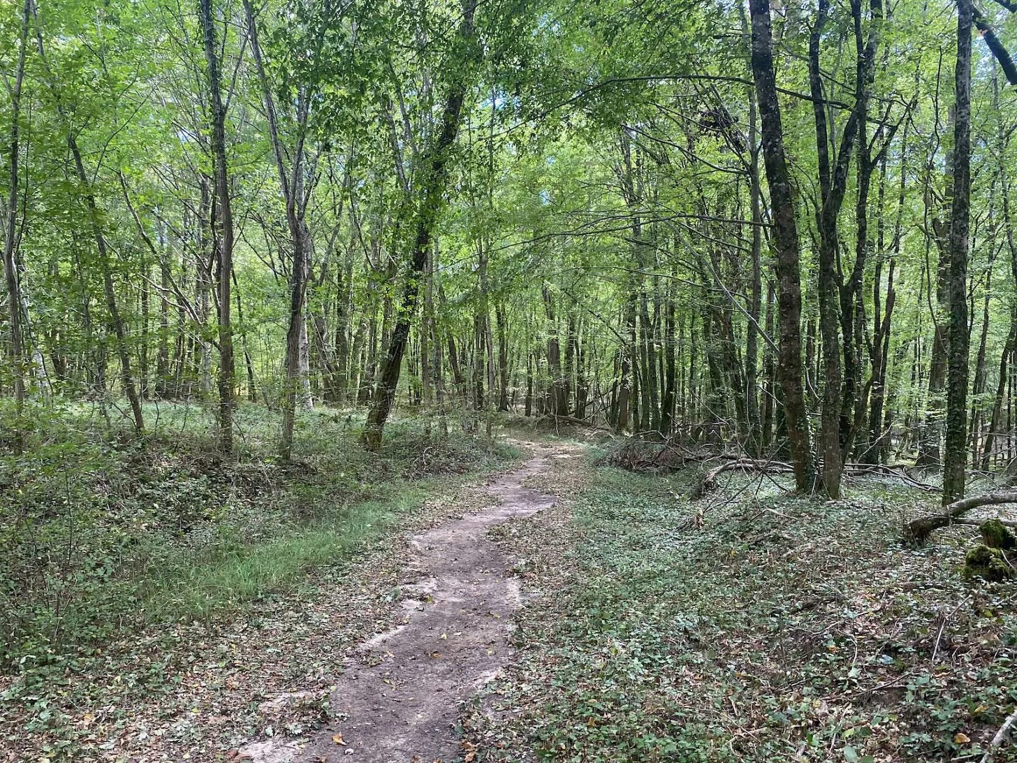 Saint-Étienne-de-Villeréal Saint-Étienne-de-Villeréal