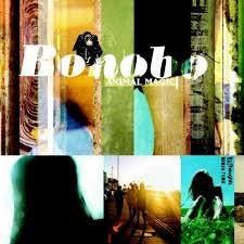 Terrapin - song and lyrics by Bonobo ...