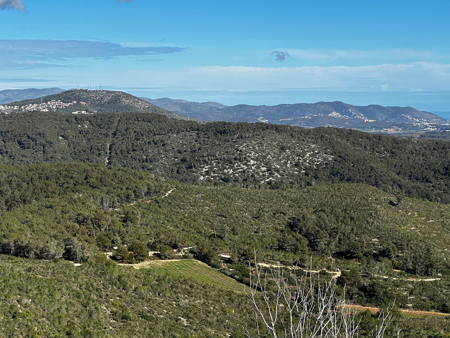 Parc del Foix, Spain