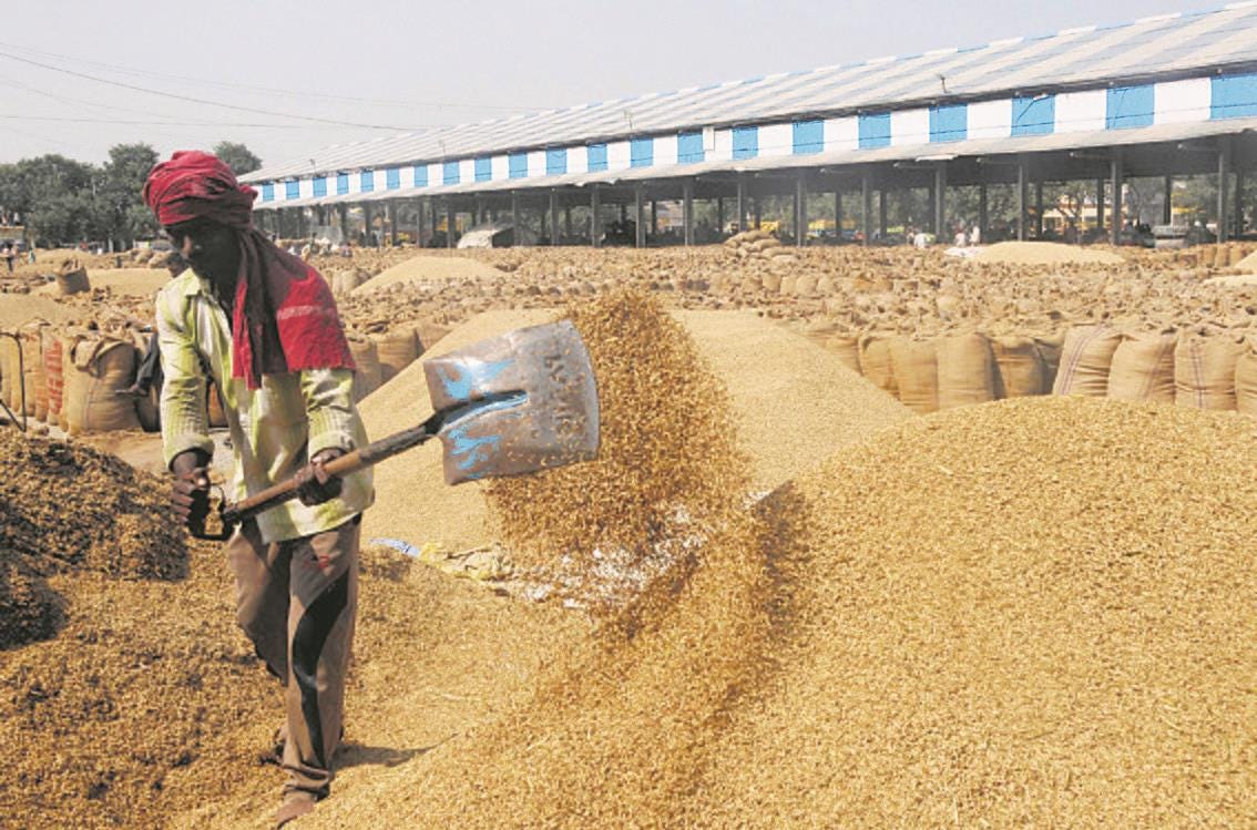 Physical checking at mandis as paddy target exceeded in Punjab