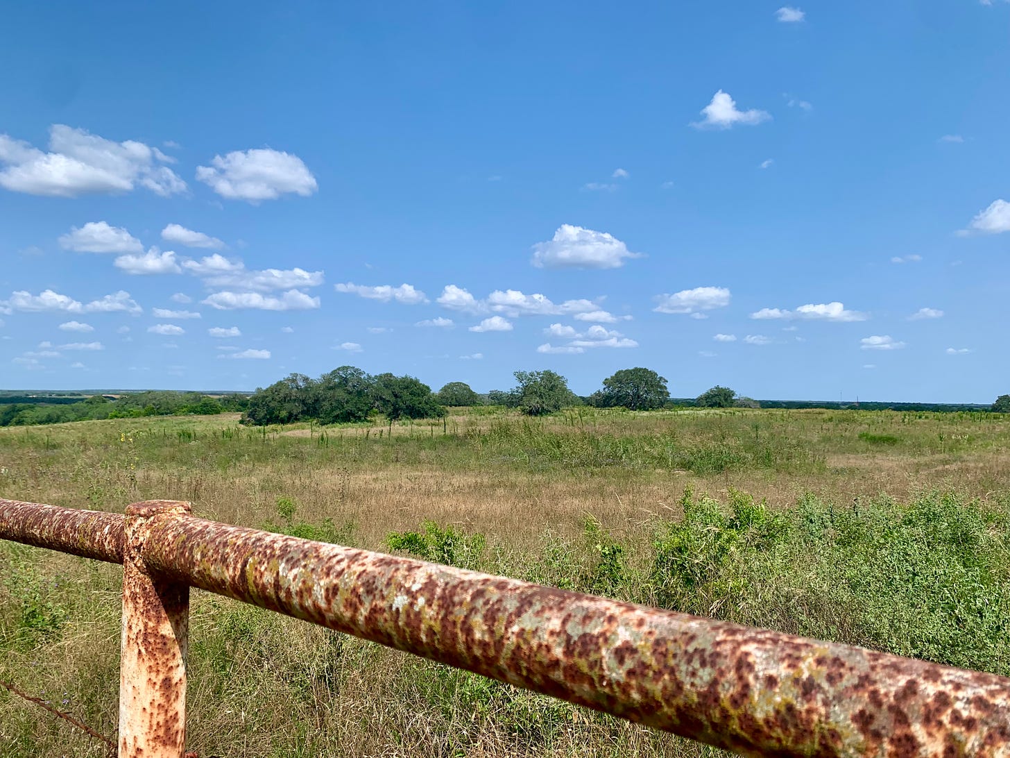 Image of an iron fence and field just outside La Vernia, Texas, on Erastus “Deaf” Smith’s Mexican Land Grant.