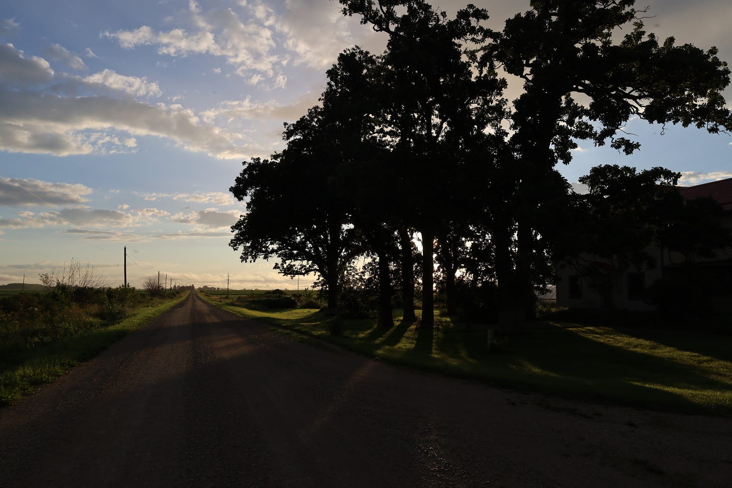 sunset through the oaks at the farm again