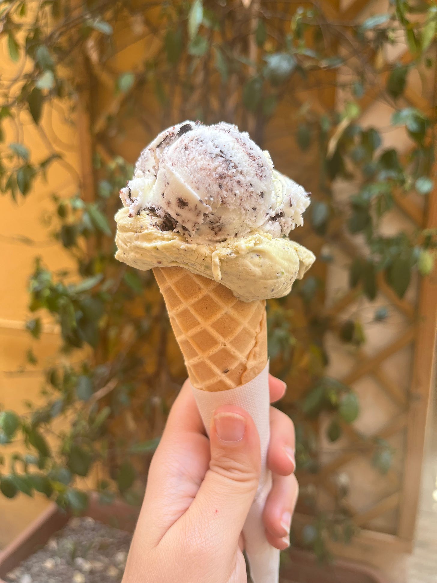 gelato from fatamorgana