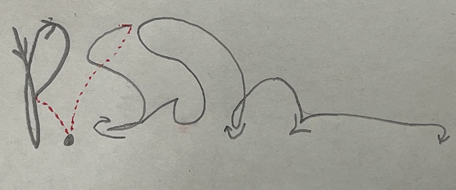 Schematic for P. Scott Brown signature