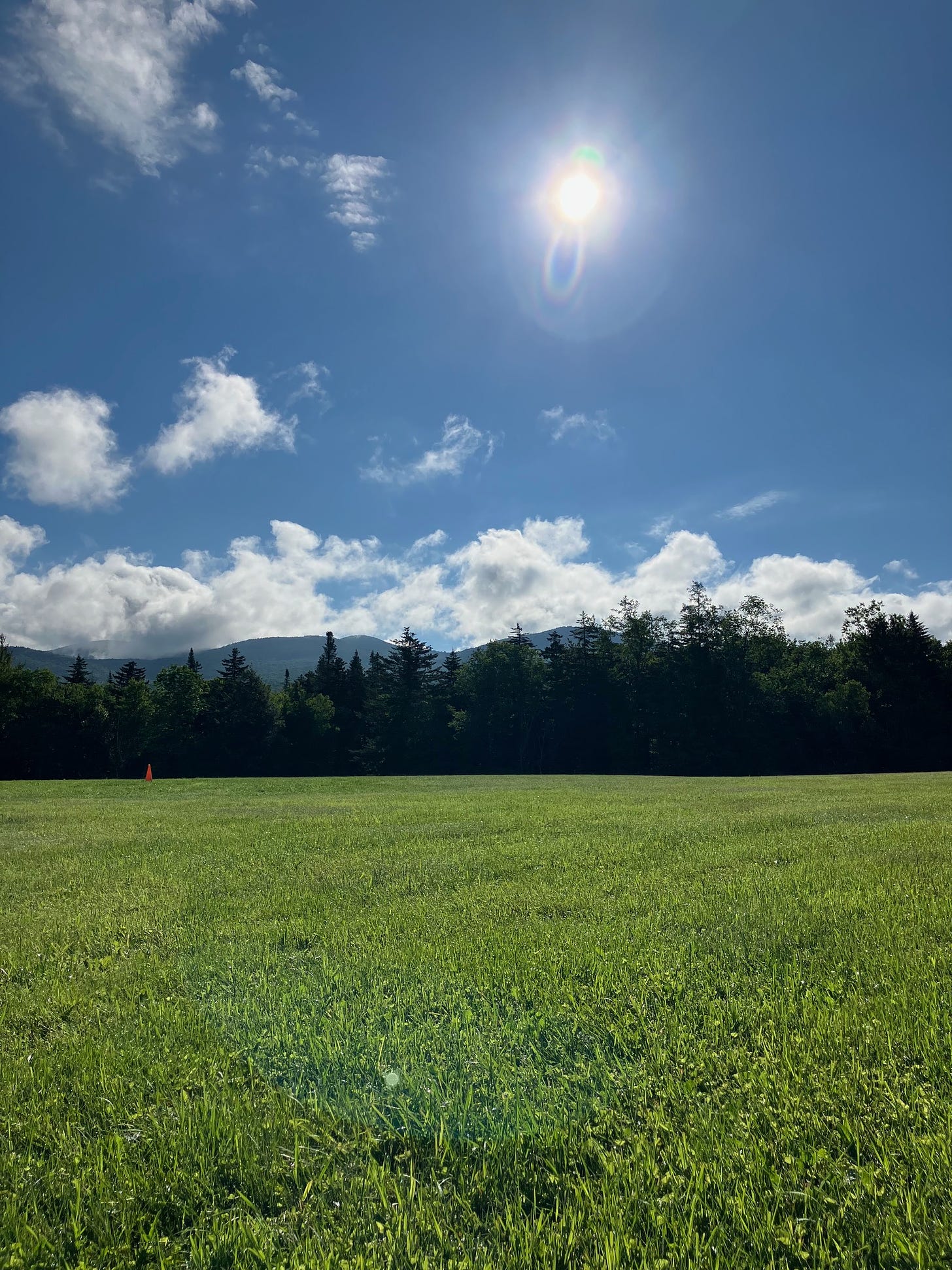 A meadow with woods and mountains in the background, clouds in the blue sky and a bright sun