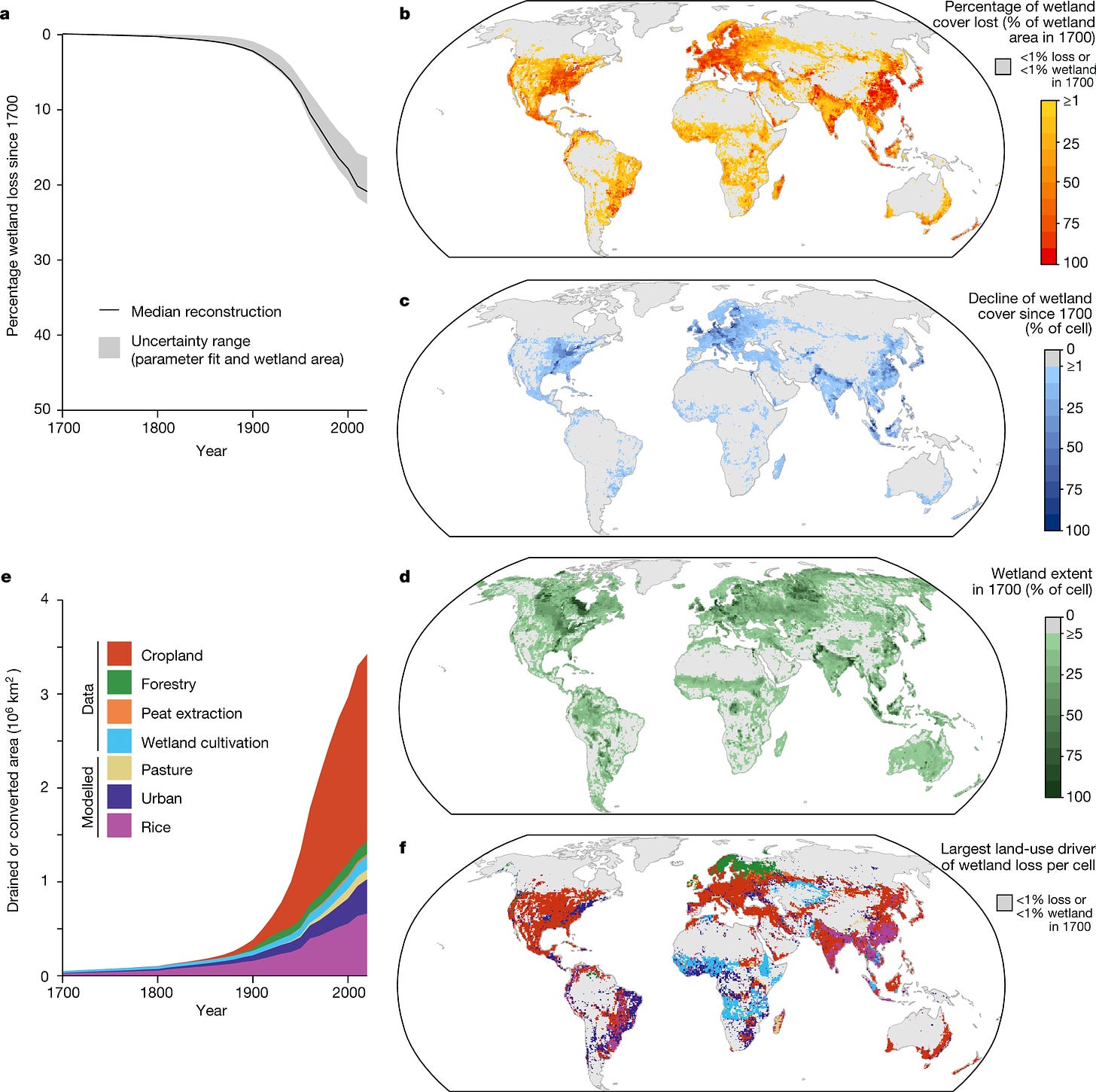 Extensive global wetland loss over the past three centuries | Nature