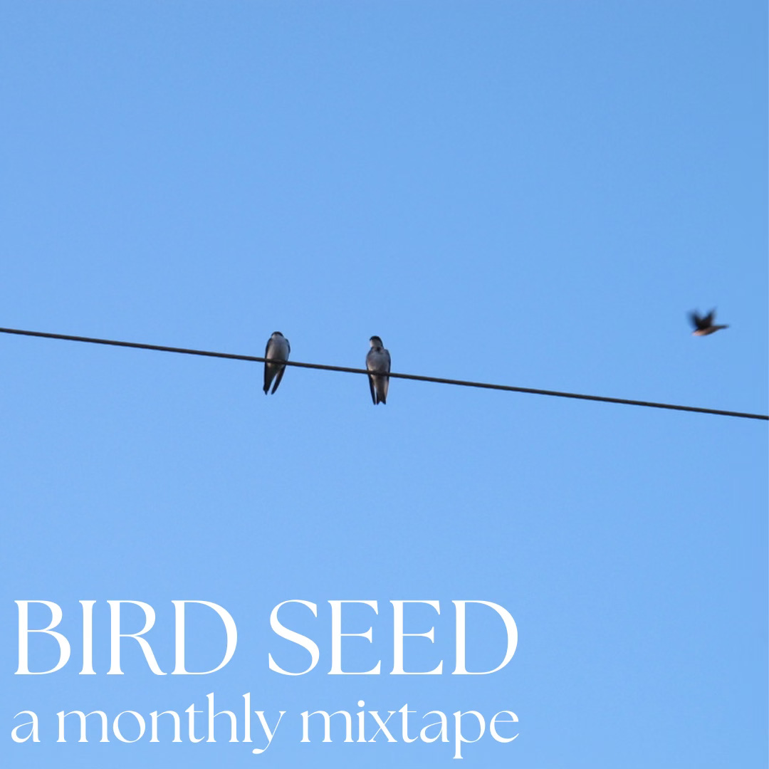 The BIRDSEED Mixtape logo: Two birds on a wire, with a third bird flying to the right. White text reads: "BIRD SEED, a monthly mixtape."