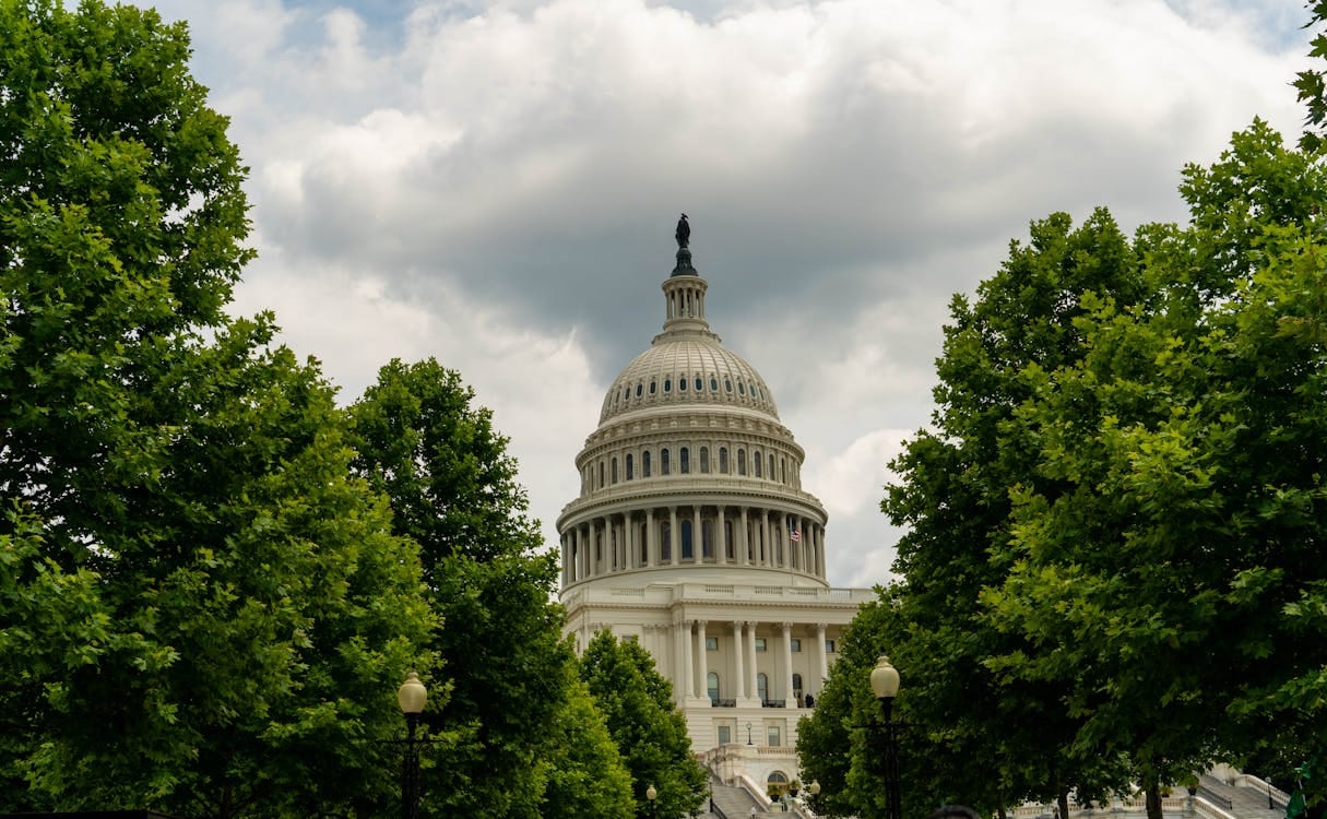 Free A stunning shot of the Capitol dome surrounded by green trees and cloudy sky in Washington, DC. Stock Photo