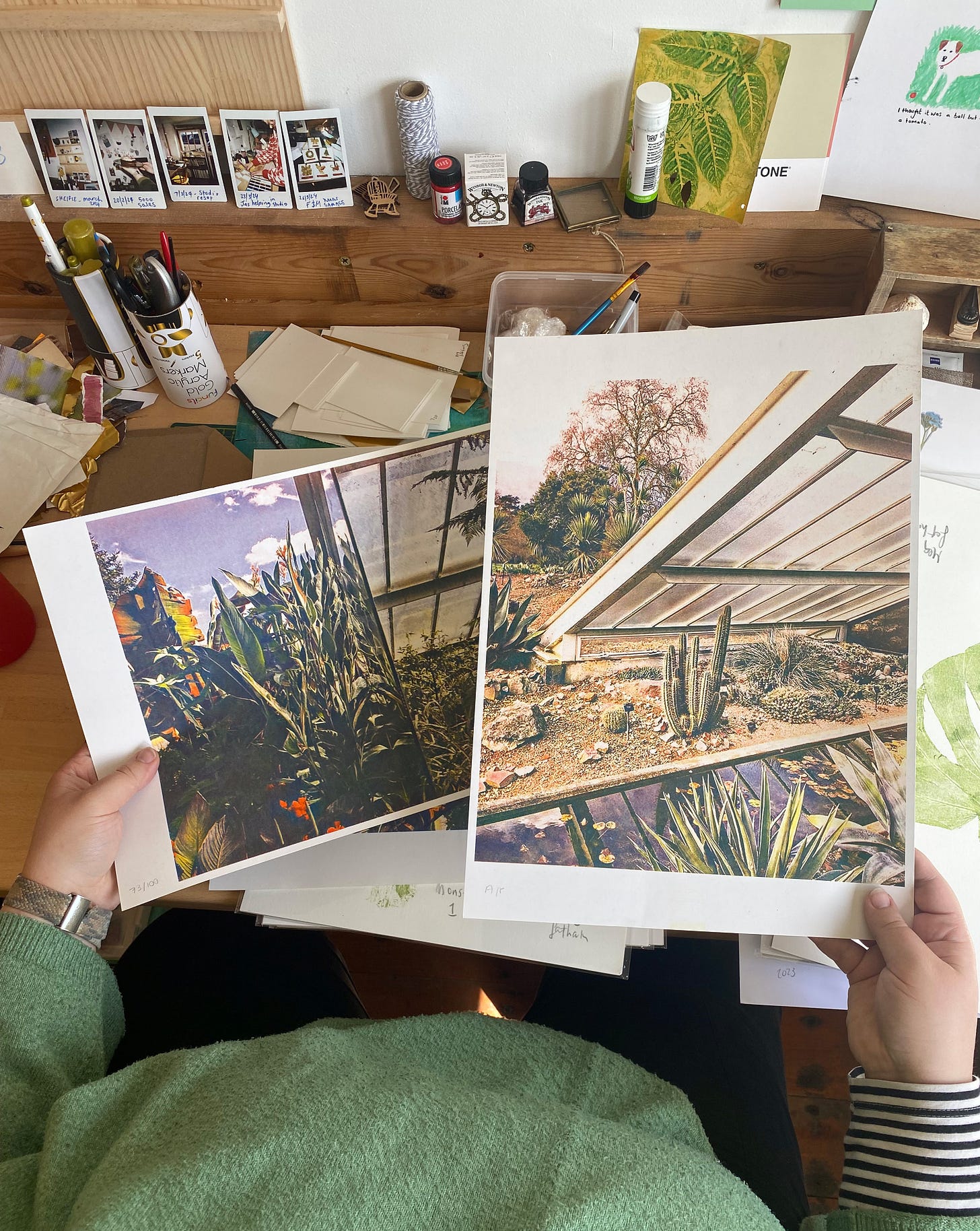 Two hands hold two printed photographs of different plants in a hot house, there are cacti and lush green tropical plants.